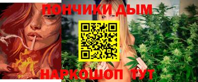 индика Нягань