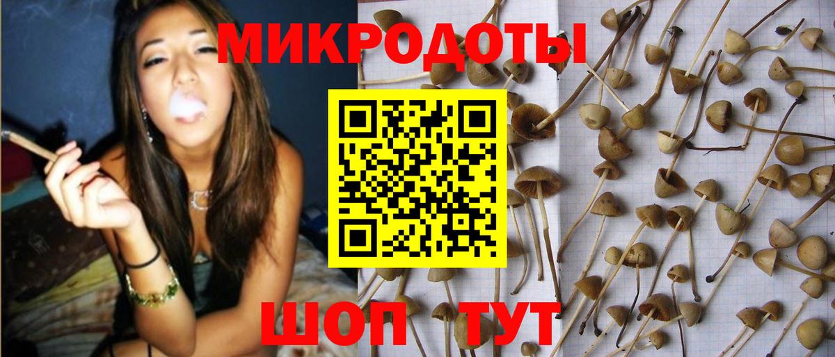 Галлюциногенные грибы Psilocybine cubensis  Вход с VPN  Саянск  Псилоцибиновые грибы мицелий 