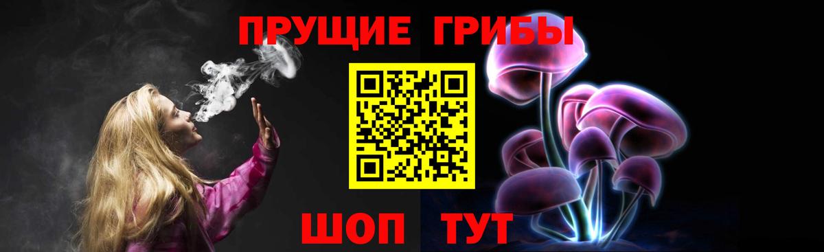 Галлюциногенные грибы Cubensis Саянск